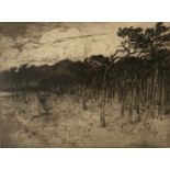 Robert Goff (1837-1922) Woodland, 1903 signed and dated (in the plate) etching 23 x 31cm.