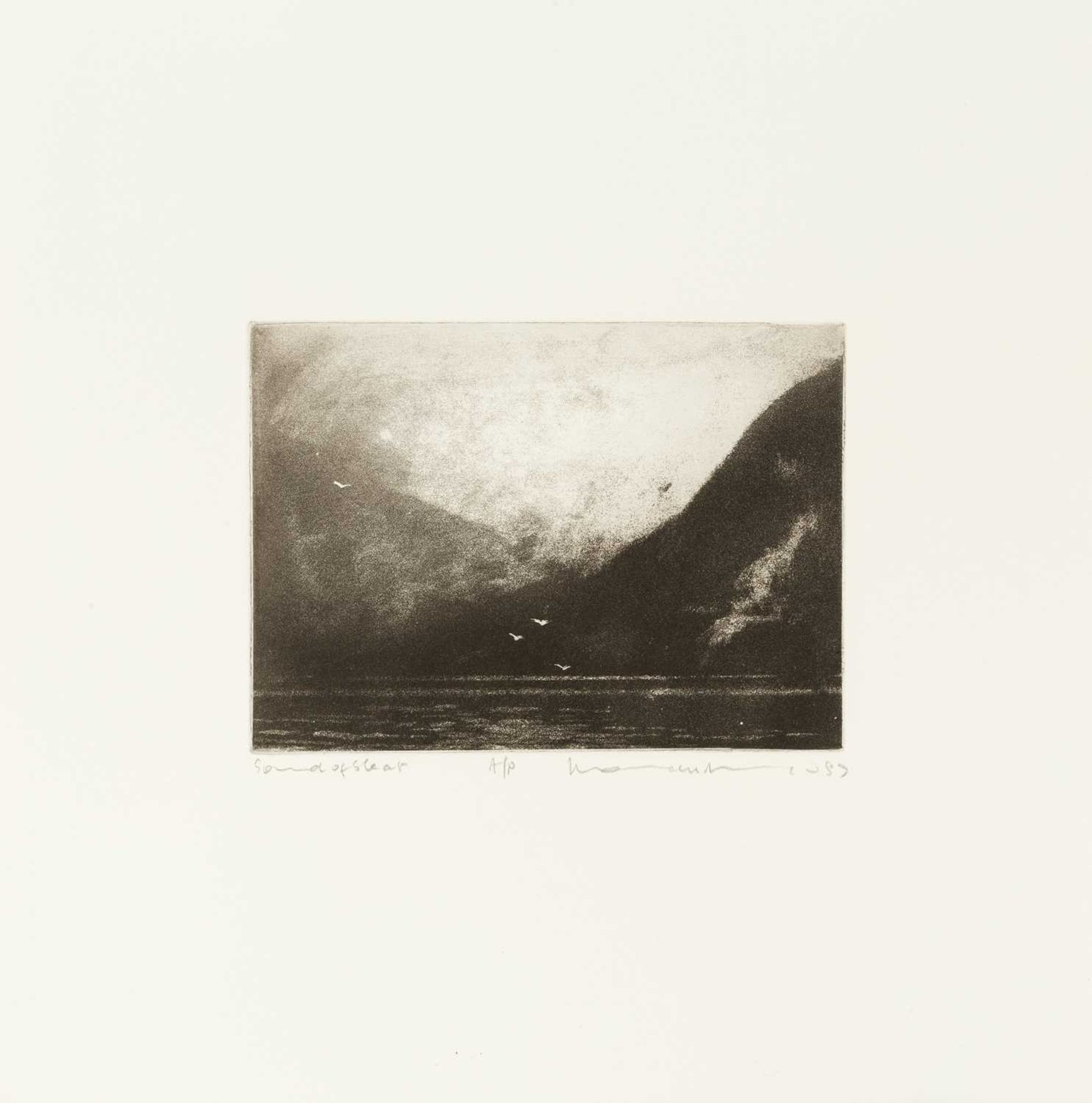 Norman Ackroyd (b.1938) Sound of Sleet, 1987 artist's proof, signed, titled, and dated in pencil (in - Bild 2 aus 2