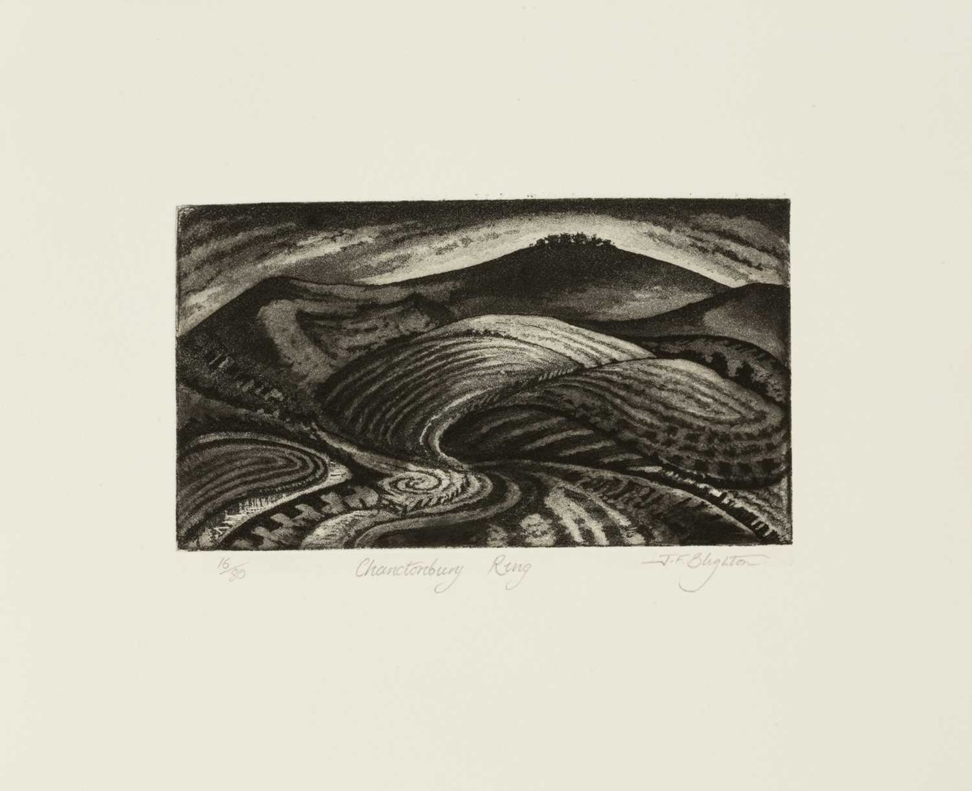 Jonathan Gibbs (b.1953) Tree 42/50, signed and numbered in pencil (in the margin) wood engraving - Image 6 of 9