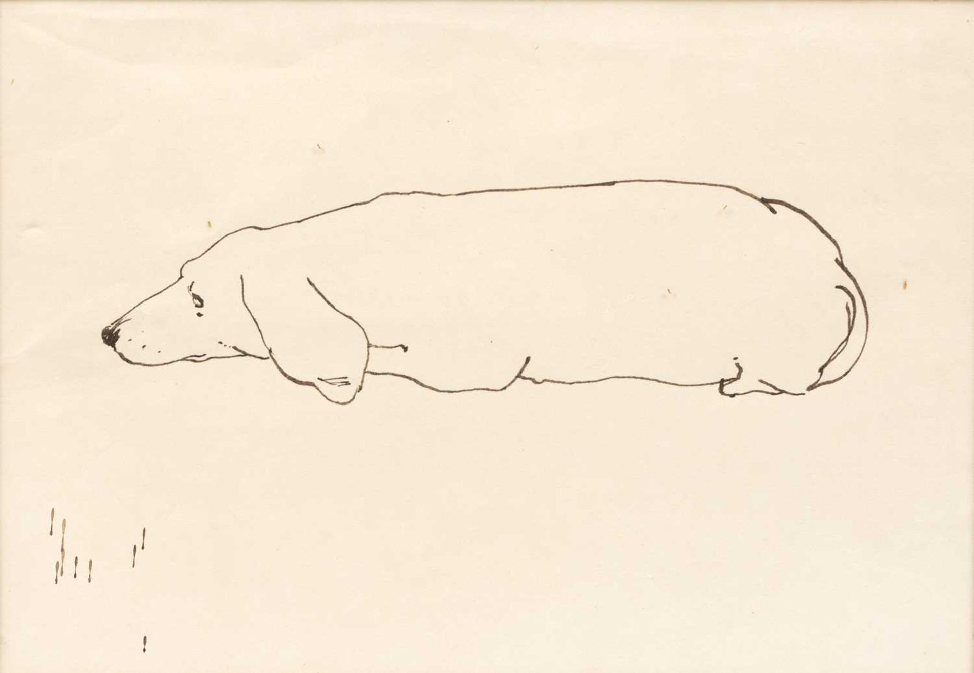 Glynn Boyd Harte (1948-2003) Sleeping Dog inscribed (to reverse) pen and ink 15 x 21cm.