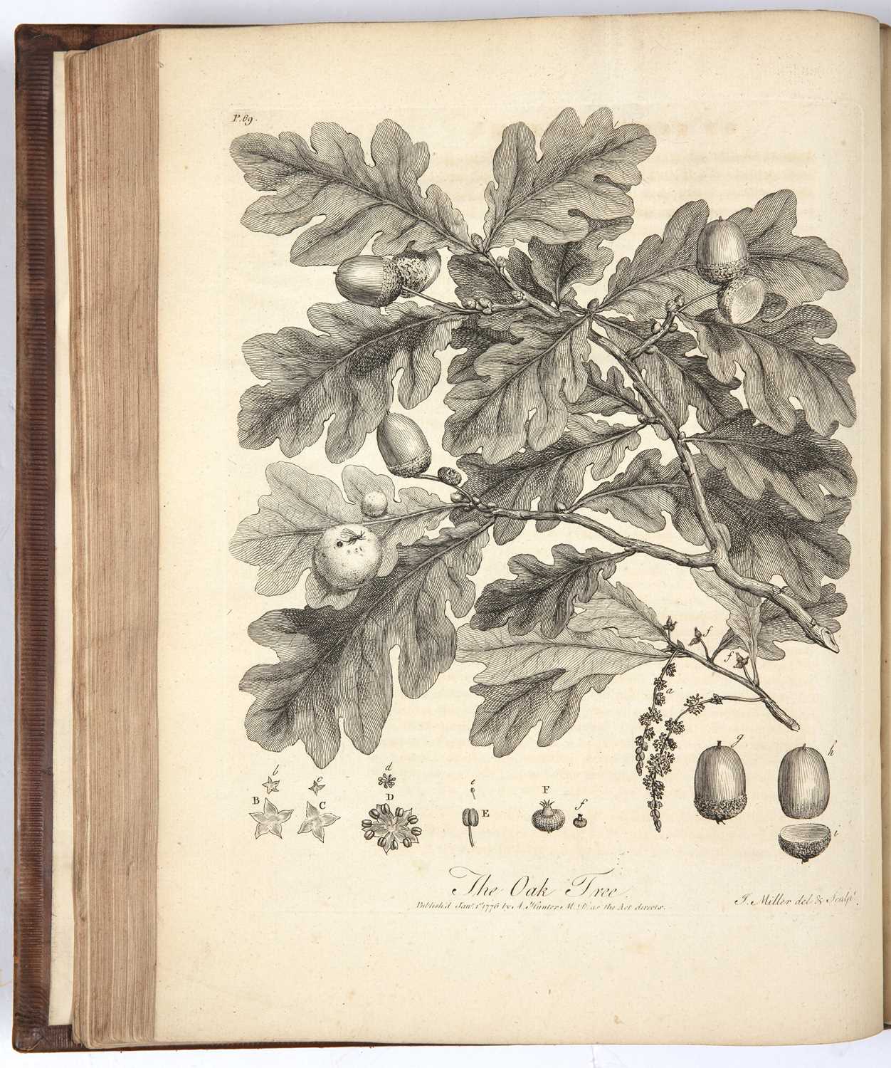 Evelyn, John 'Silva or a Discourse of Forest Trees', Dodsley et al York 1776, portrait - Image 3 of 3