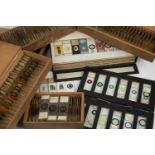 Approximately one hundred and sixty microscope slides approximately one hundred prepared by the