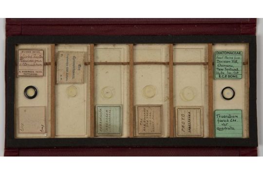 Microscope slides to include five photograph microscope slides, including one of a £1,000 Bank of - Image 5 of 7