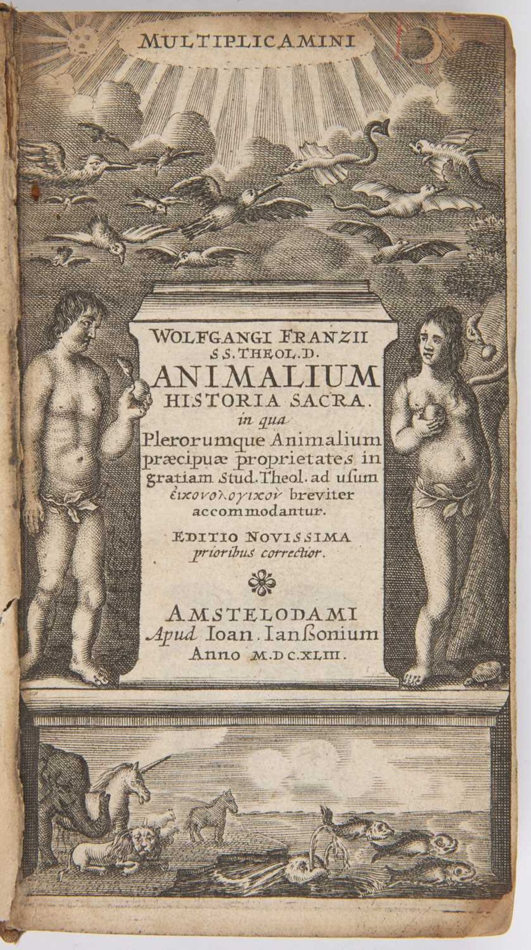 Plautus (Titus Maccius). Comoediae, Superstites XX. Ludovic Elzevir, Amsterdam 1652. engraved - Image 3 of 3