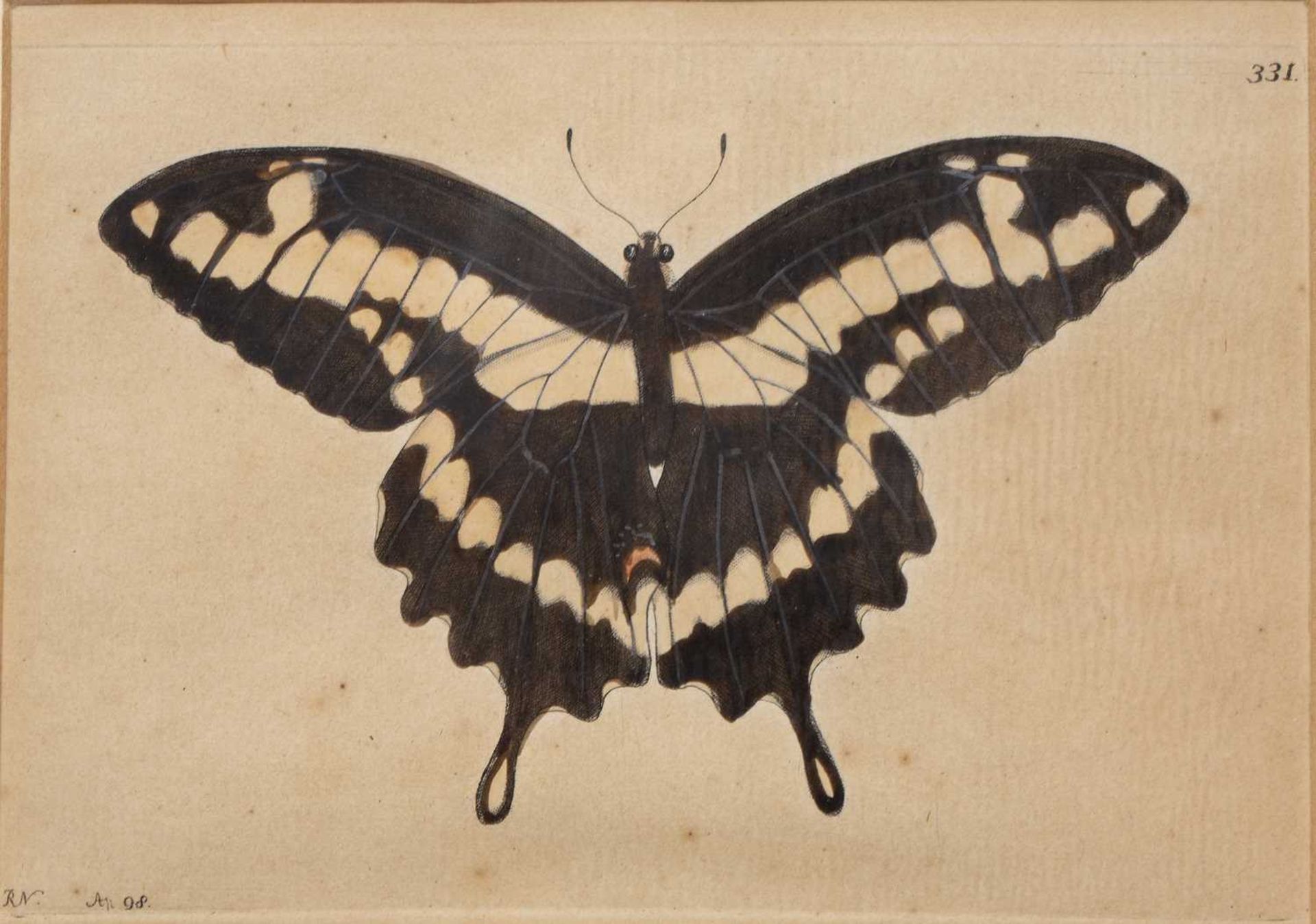 Juillet Sculp Butterflies, hand coloured engraving 26cm x 19cm; a further butterfly engraving and - Bild 7 aus 9