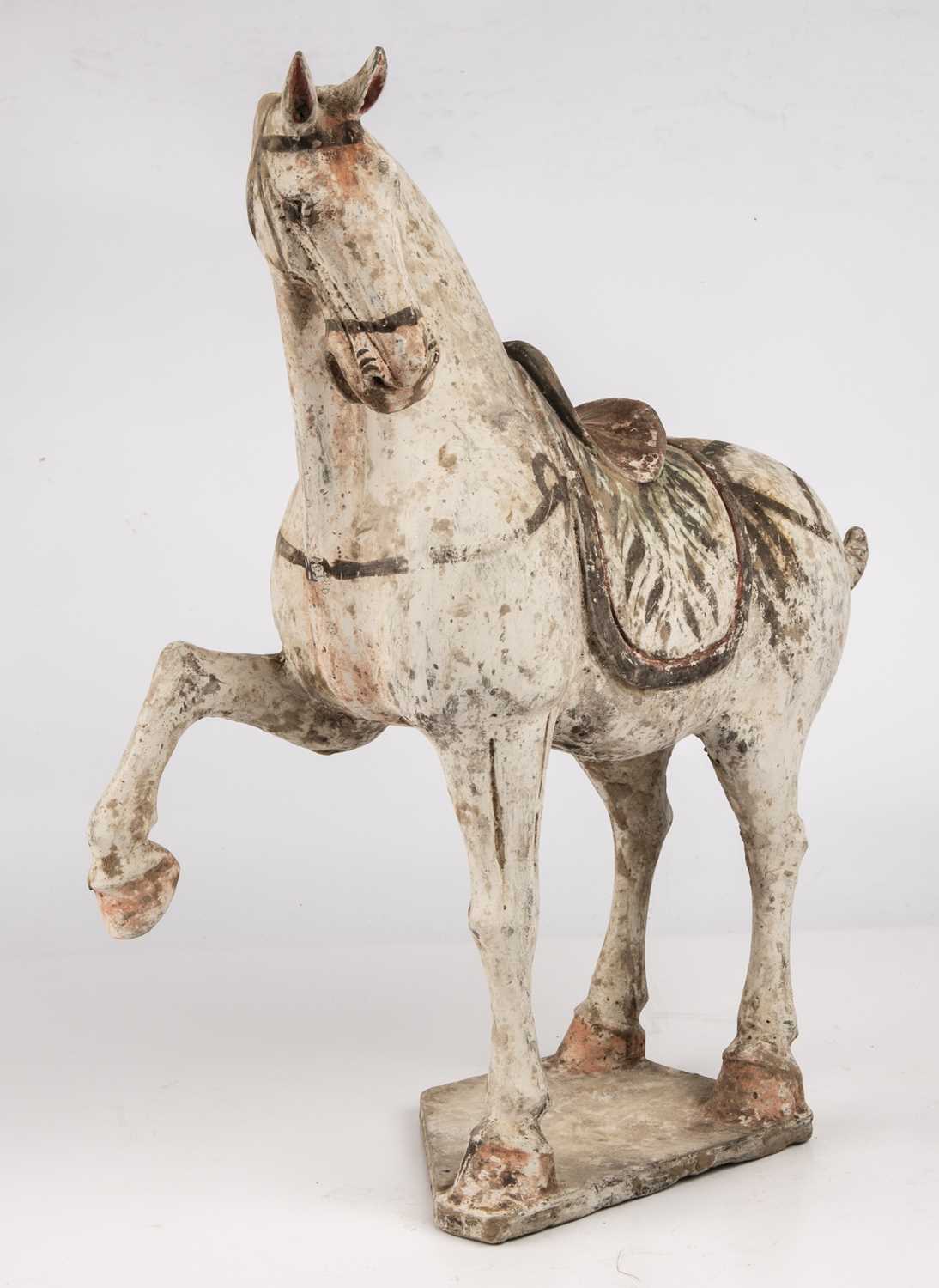 A Chinese Tang dynasty (618 - 906 AD) painted pottery prancing horse 38cm wide 42cm high. Sold - Bild 2 aus 12