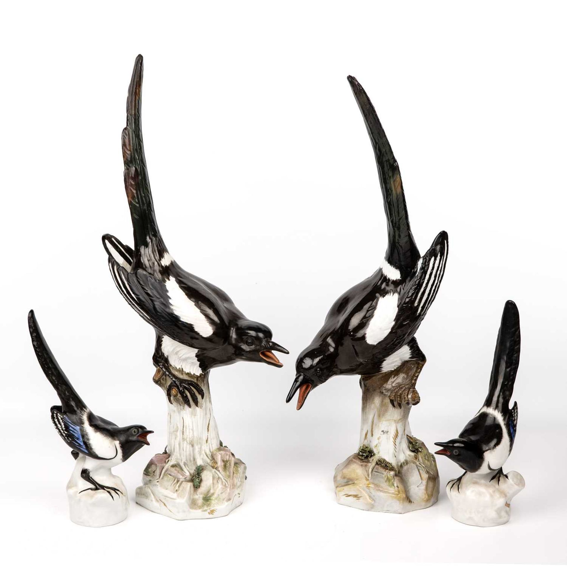 A pair of late 19th century Meissen magpies , blue crossed swords mark D 62a and 62b, after the