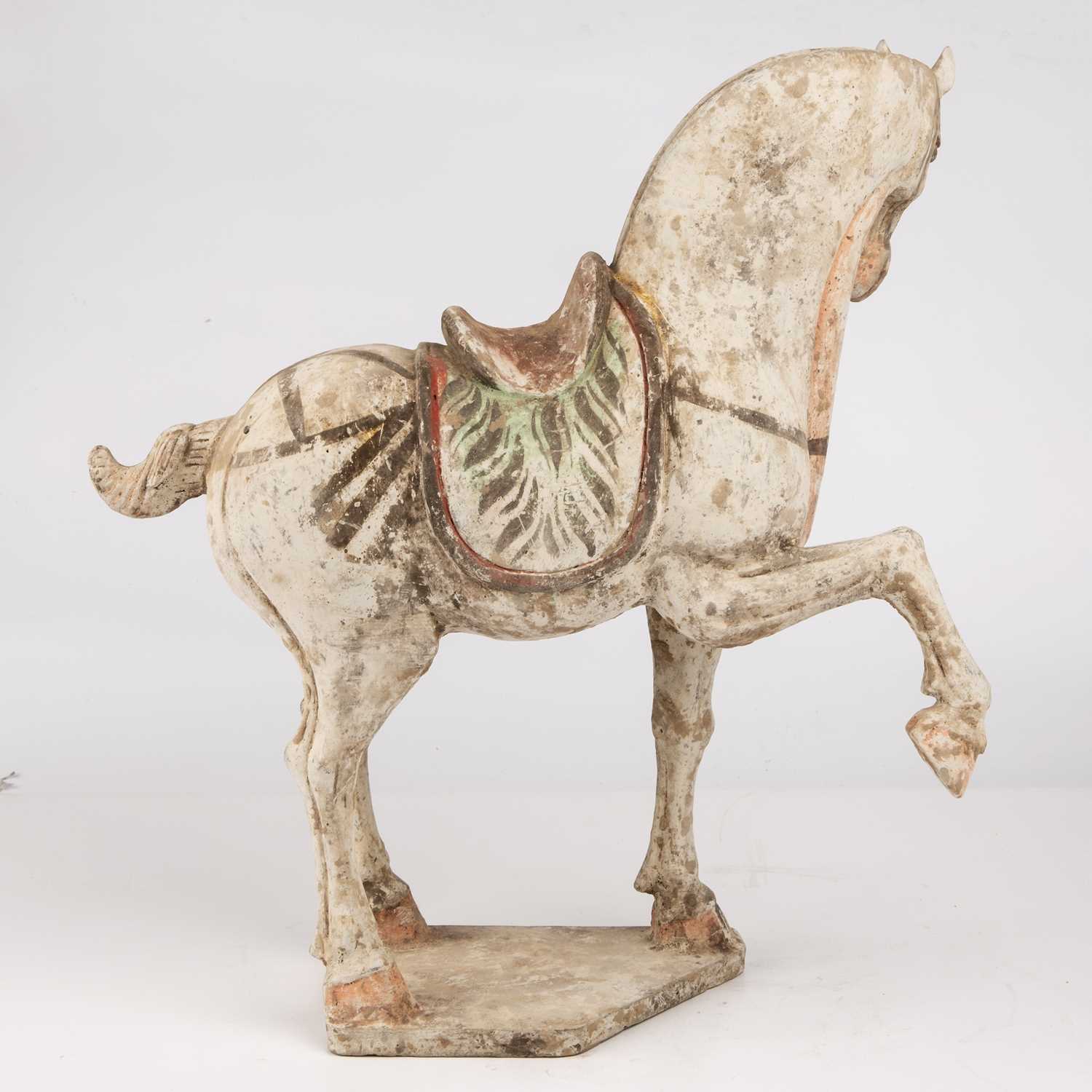 A Chinese Tang dynasty (618 - 906 AD) painted pottery prancing horse 38cm wide 42cm high. Sold - Bild 4 aus 12