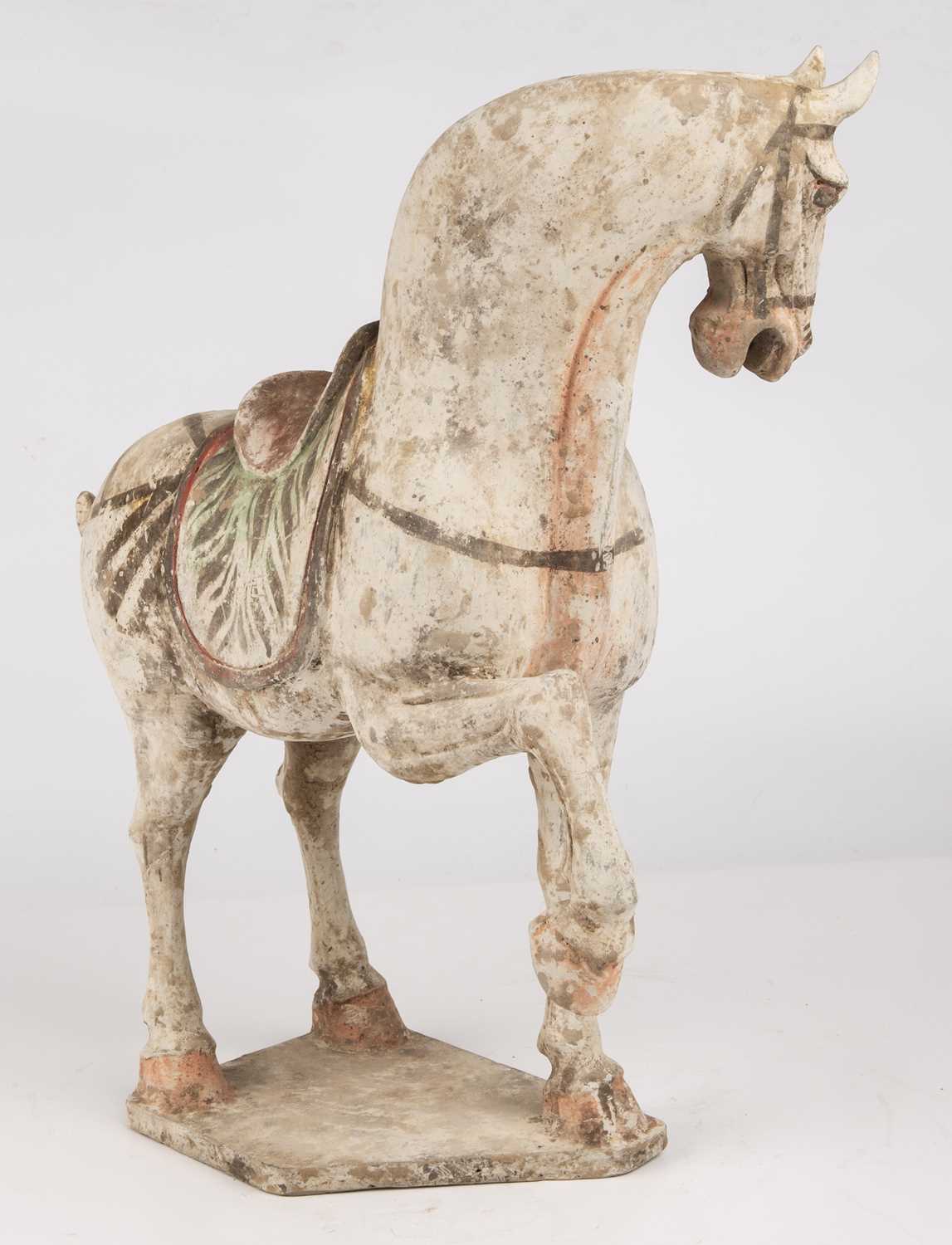 A Chinese Tang dynasty (618 - 906 AD) painted pottery prancing horse 38cm wide 42cm high. Sold - Bild 3 aus 12