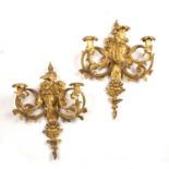 A pair of 19th century Italian gilded gesso three branch wall sconces. 38cm x 50cm