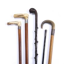 Three antique malacca walking canes with white metal collars, a hawthorn cane and a St John's