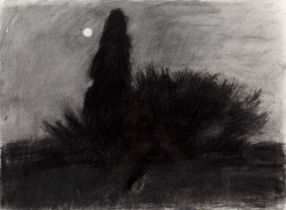 Jane Bond (1939), 'Moolight Cat', charcoal 56cm x 76cm Qty: 1 Framed and glazed