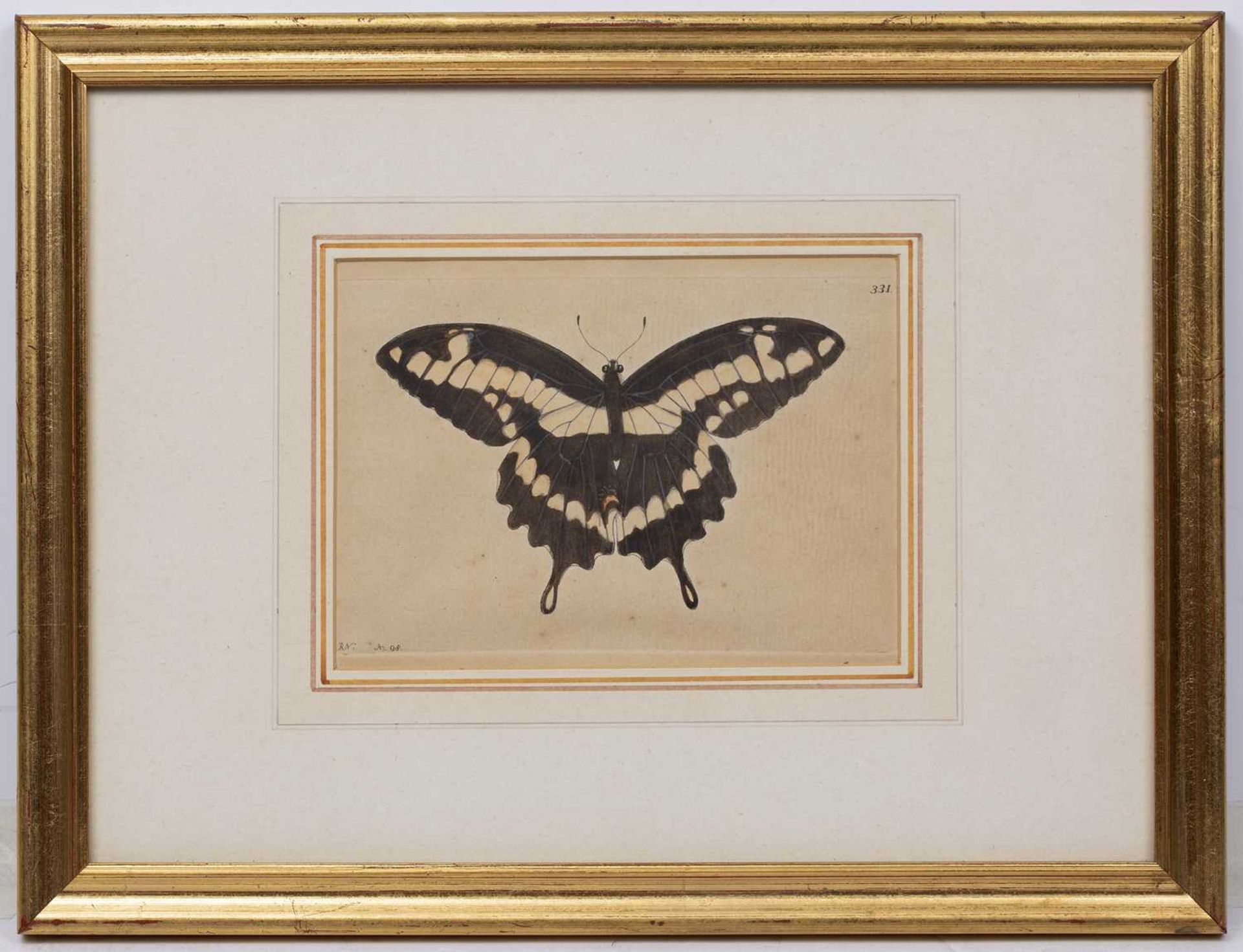 Juillet Sculp Butterflies, hand coloured engraving 26cm x 19cm; a further butterfly engraving and - Bild 8 aus 9