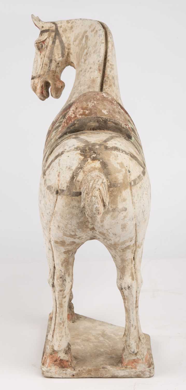 A Chinese Tang dynasty (618 - 906 AD) painted pottery prancing horse 38cm wide 42cm high. Sold - Bild 5 aus 12