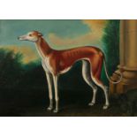 Michael Constable (20th Century British School) 'Study of a whippet', oil on panel, unsigned, the