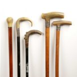 Four horn (probably rhino horn) walking sticks 19th/early 20th Century and a walking cane (5)All