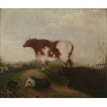 19th Century naive school 'Folk study of cattle and a sheepdog', oil on panel, unsigned, 35.5cm x