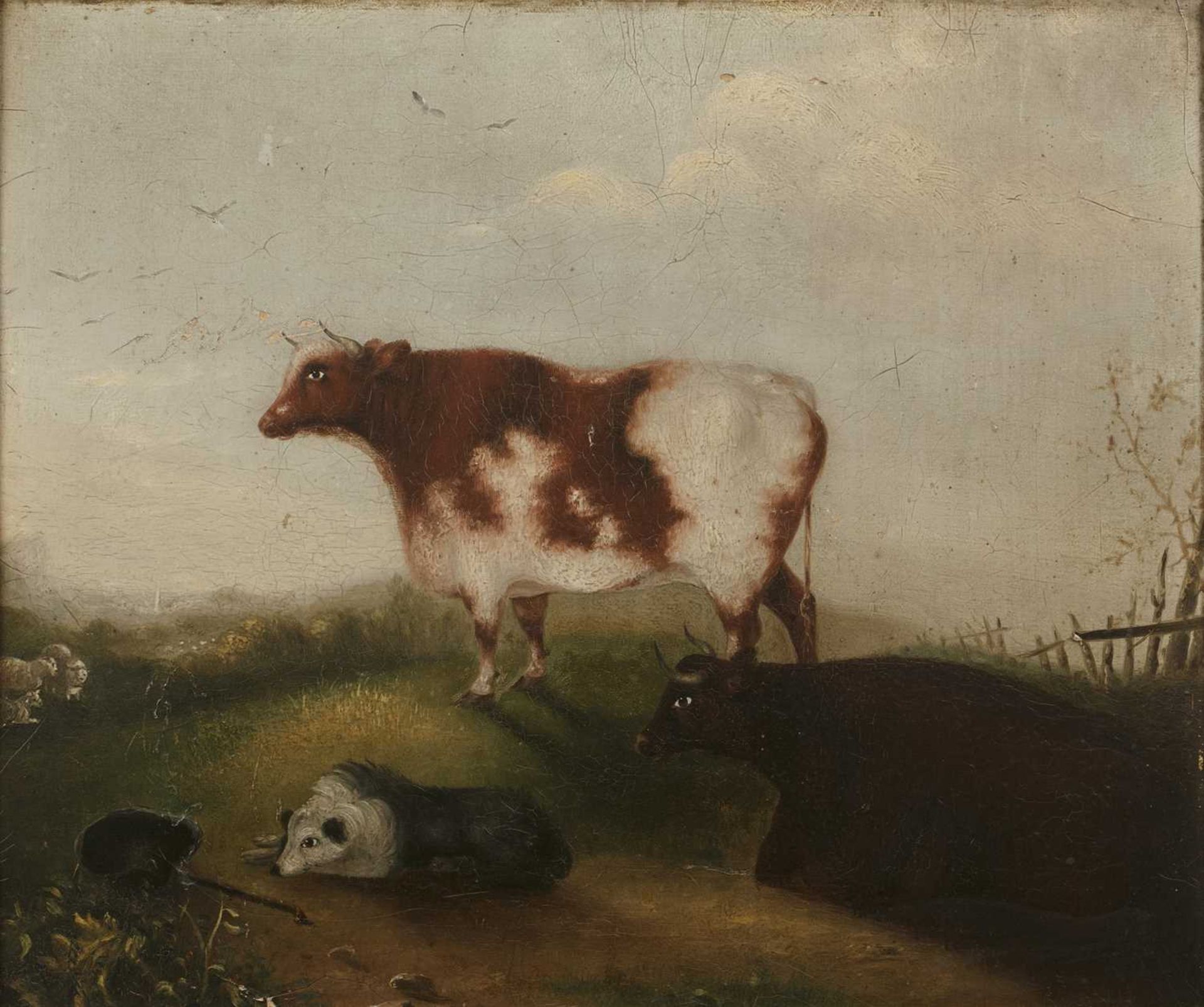 19th Century naive school 'Folk study of cattle and a sheepdog', oil on panel, unsigned, 35.5cm x