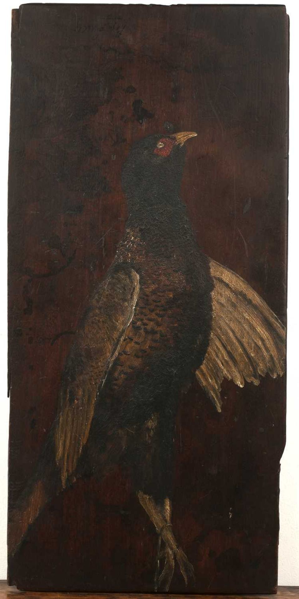 Mahogany decorative panel painted with a pheasant, 58cm x 27cm With some wear.