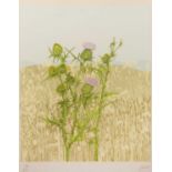 Joan Hunt (Contemporary) 'Untitled Thistles in a Meadow', screenprint, numbered 86/300, signed in