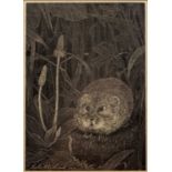 Leslie Winchcombe (20th Century) 'Untitled Vole amongst foliage', linoprint, signed and dated 1976