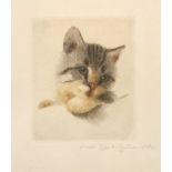 20th Century School 'Untitled grey Kitten', etching and aquatint, signed in pencil lower right,