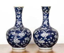 Pair of blue and white porcelain vases Chinese, 19th Century both painted with prunus blossom, and