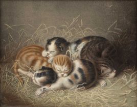 19th century English school Sleeping cats, lithograph in colours, 19.5 x 25cm