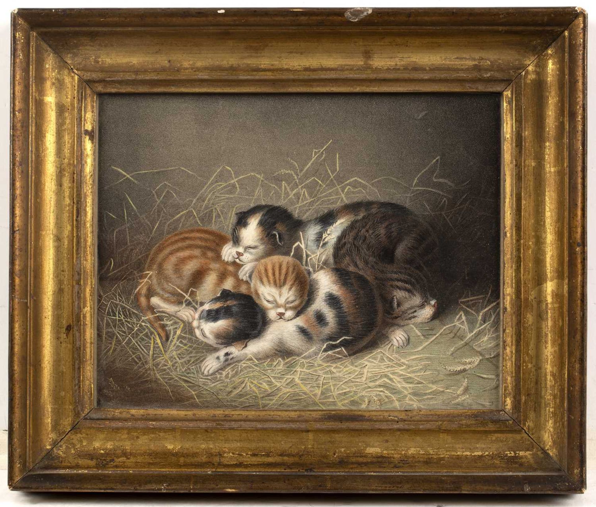 19th century English school Sleeping cats, lithograph in colours, 19.5 x 25cm - Image 2 of 3