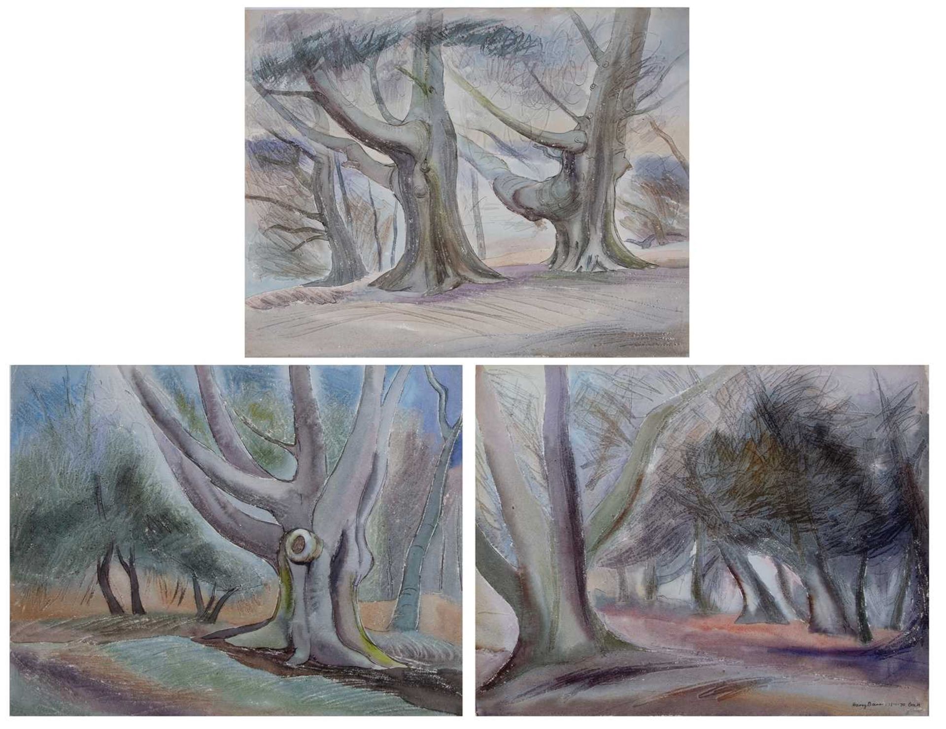 Harry Barr (1896-1987) Anthropomorphic tree studies, ink and watercolour with scratching, 38.5 x - Bild 2 aus 2