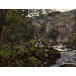 Anton van Anrooy (1870-1949) A mountain stream, signed with initials, oil on panel, 25.5 x 34.5cm;