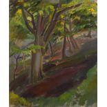 Harry Barr (1896-1987) A woodland hillside, oil on canvas, 61 x 51cm, and another similar work (2)