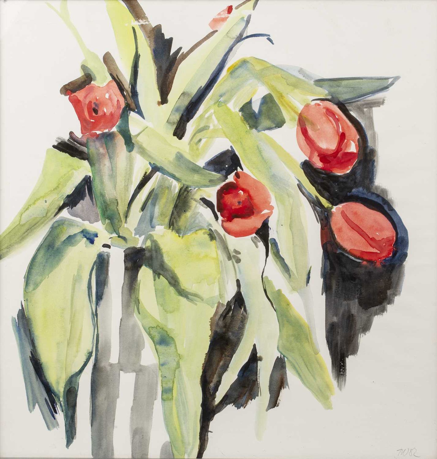 Tessa Newcomb (b.1955) Two Flower studies, 1982 signed with initials and dated (lower right)