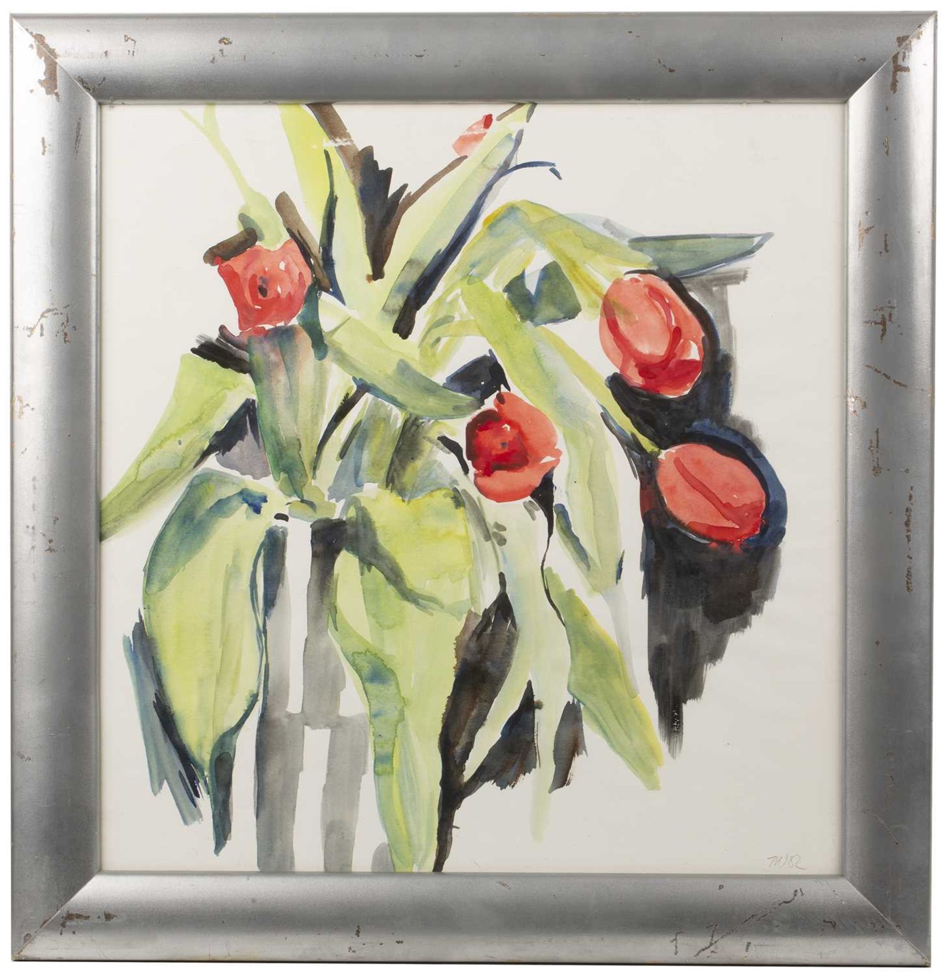 Tessa Newcomb (b.1955) Two Flower studies, 1982 signed with initials and dated (lower right) - Image 2 of 3