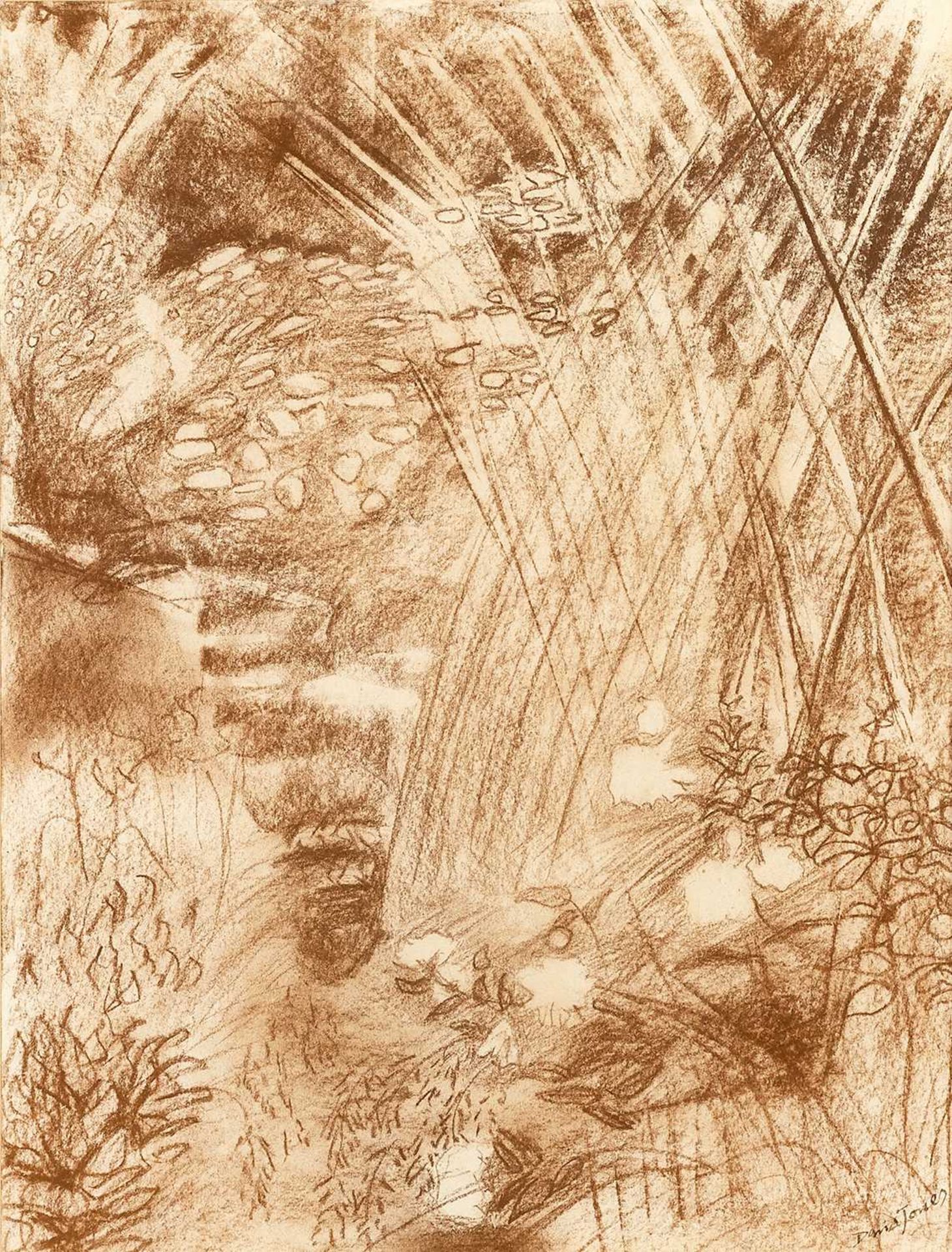 David Michael Jones (1895-1974) Study of a Garden signed in ink (lower right) brown chalk on paper