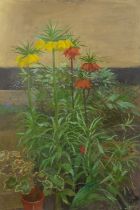 Fred Dubery (1926-2011) Fritillaria Imperialis oil on board 76 x 51cm, unframed.