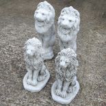 Two pairs of lions