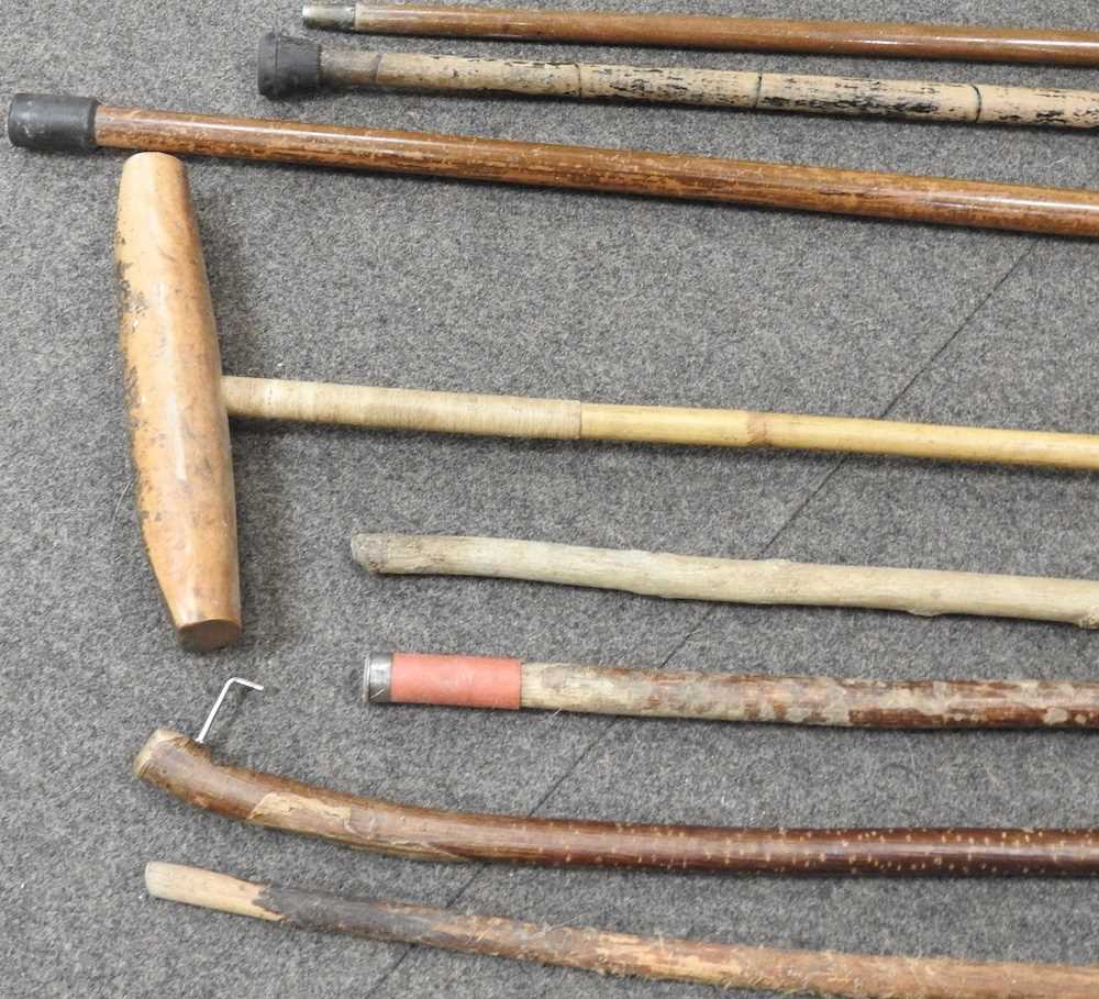 Various walking sticks - Image 4 of 6