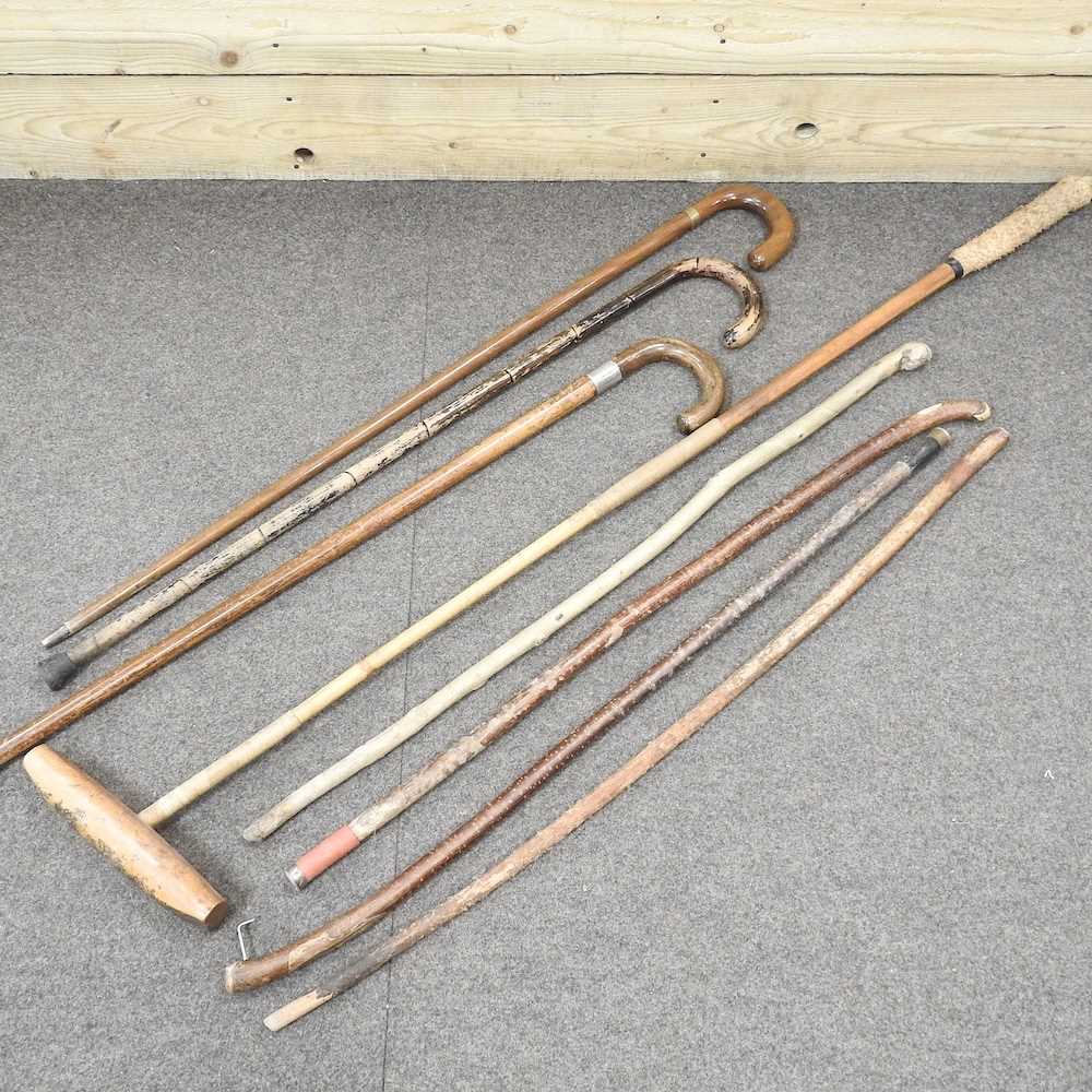 Various walking sticks