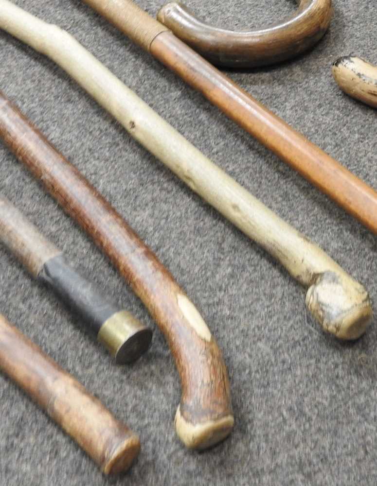 Various walking sticks - Image 5 of 6