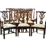 Eight Chippendale chairs