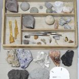 Fossils and stones