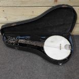 A banjo