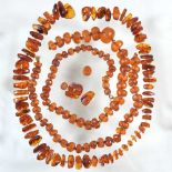 Two amber bead necklaces