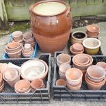 A collection of garden pots