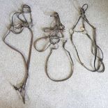 Three horse bridles