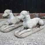 A pair of cast stone greyhounds