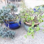 A blue glazed garden pot and two others