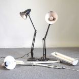 A collection of angle poise lamps