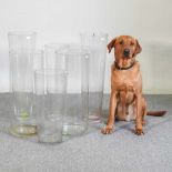 A collection of six glass vases